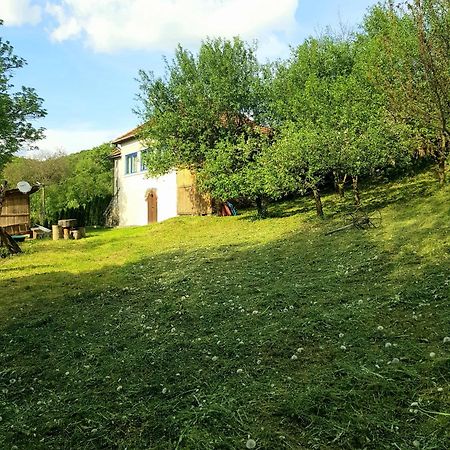 Straja  Casa La Casiru 17 빌라 외부 사진