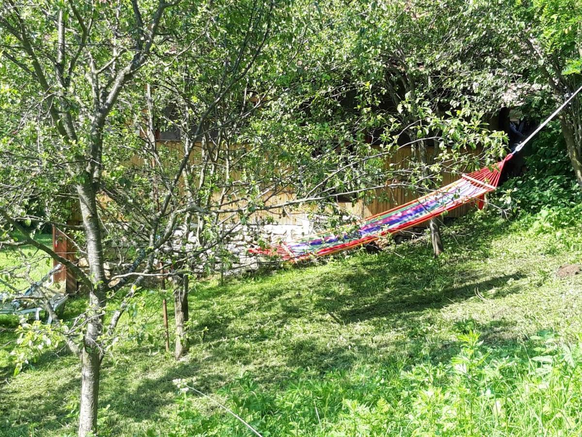 Straja  Casa La Casiru 17 빌라 외부 사진