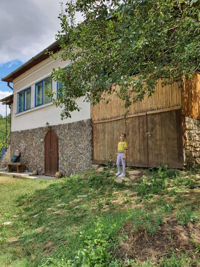 Straja  Casa La Casiru 17 빌라 외부 사진