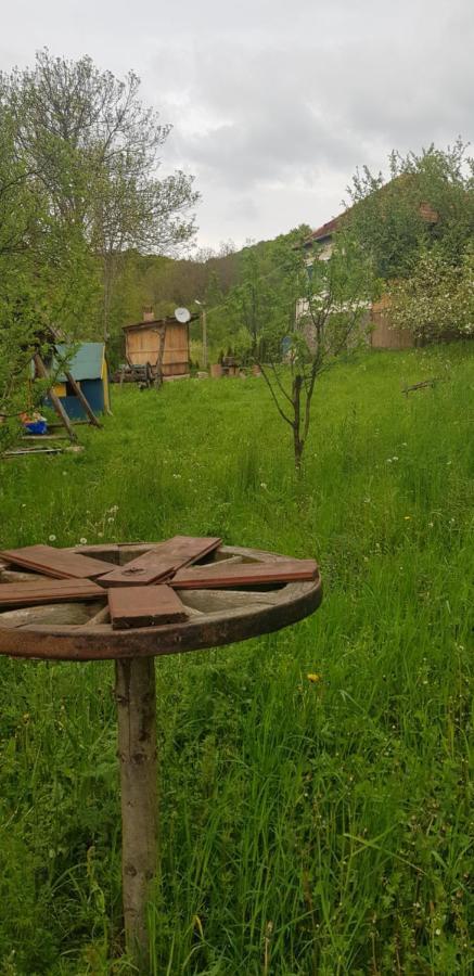 Straja  Casa La Casiru 17 빌라 외부 사진