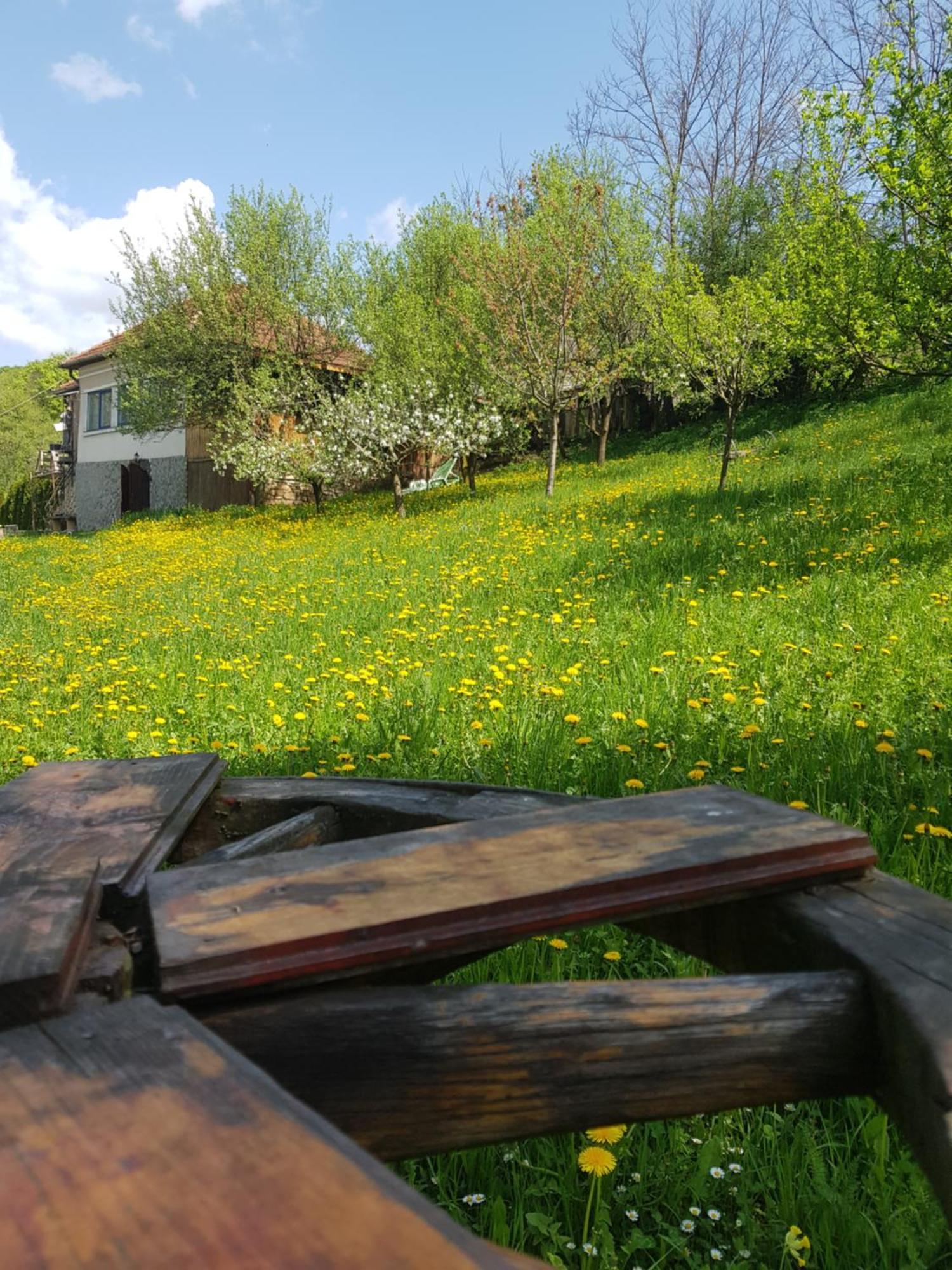 Straja  Casa La Casiru 17 빌라 외부 사진